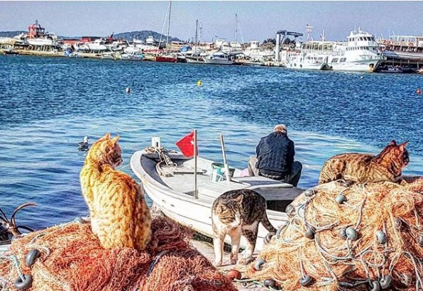 Cunda Sahili