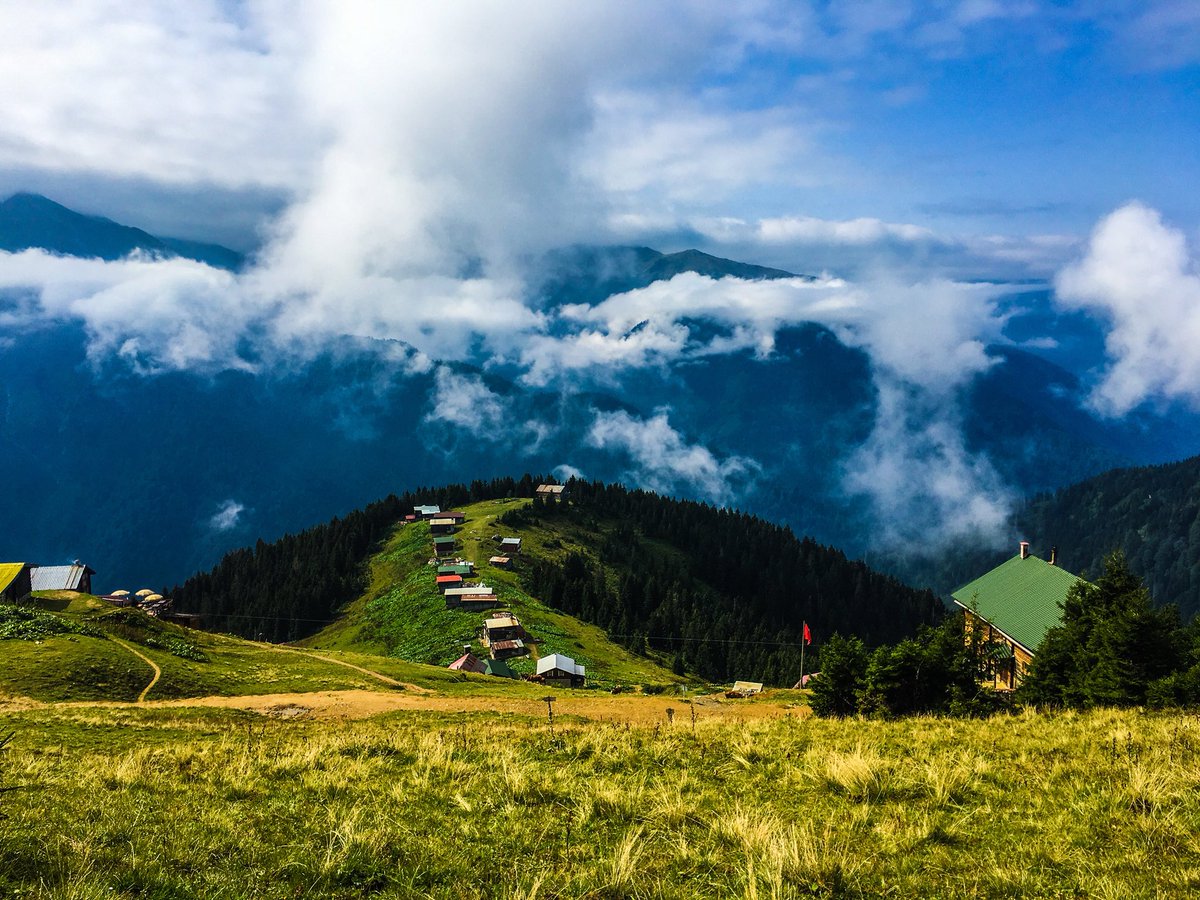 Pokut Турция