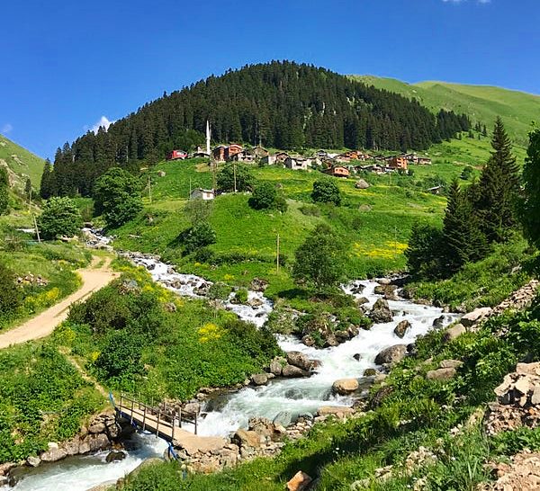 Trabzon Haldizen Yaylası