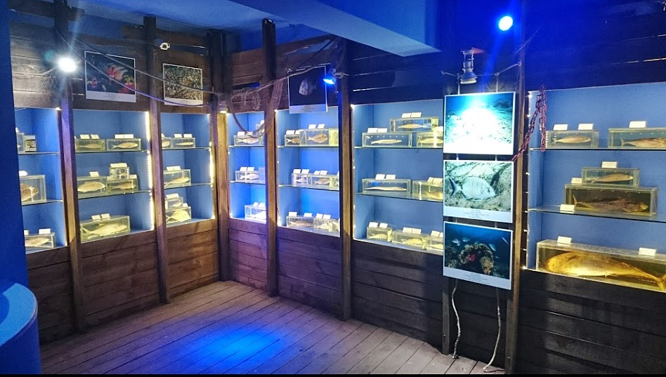 Deniz Biyoloji Müzesi Muratpaşa