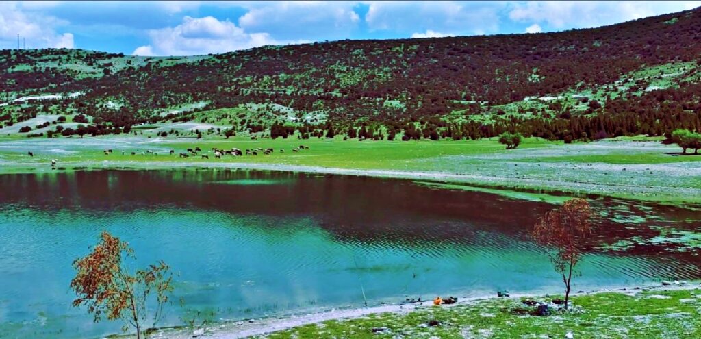 Asartepe Barajı