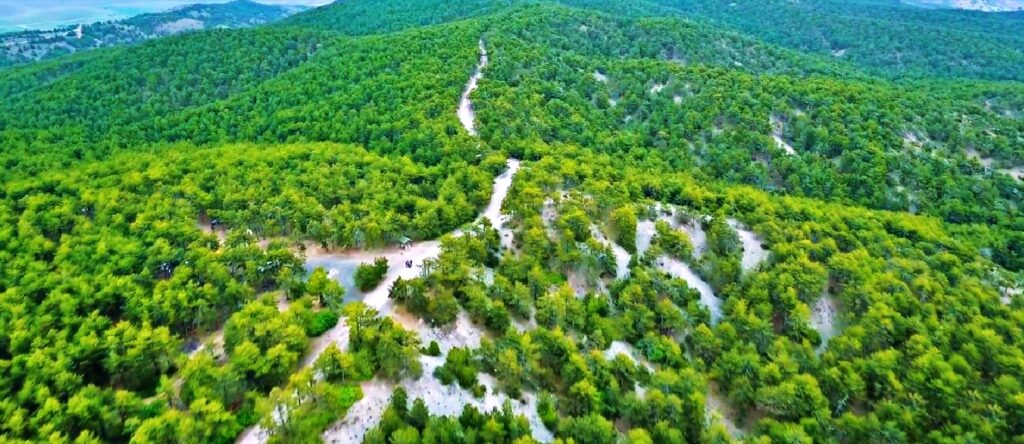 Beynam Atatürk Ormanı Kamp Alanı