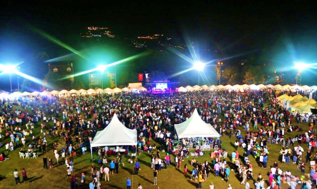 Sakarya Festivalleri Konserleri